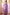 DEIANA'S Beautiful Golden Jari with New Design Soft Cotton Saree - Lavender - Distacart