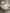 DDecor Green & White Ethnic Motifs Cotton 140 TC King Bedsheet with 2 Pillow Covers - Distacart