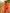 Kalini Ethnic Motifs Woven Design Zari Banarasi Saree - Distacart