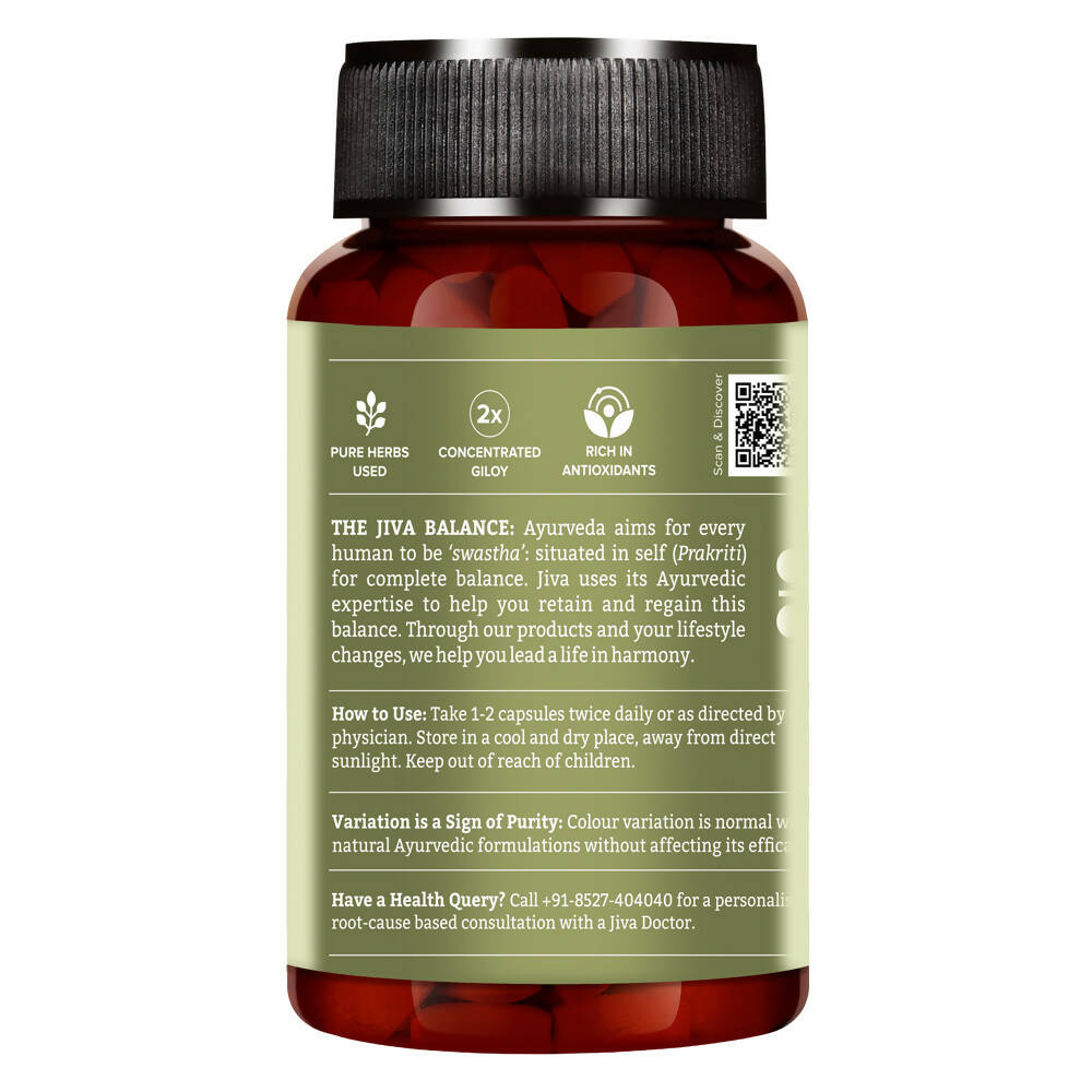 Jiva Ayurveda Giloy Capsules - Distacart