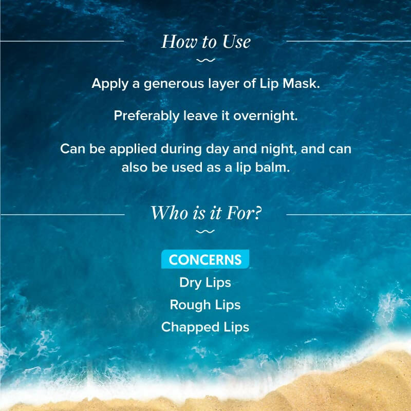 Aqualogica Hydrate+ Plump Lip Mask - Distacart