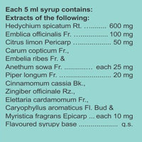 Thumbnail for Charak Pharma Vomiteb Syrup - Distacart