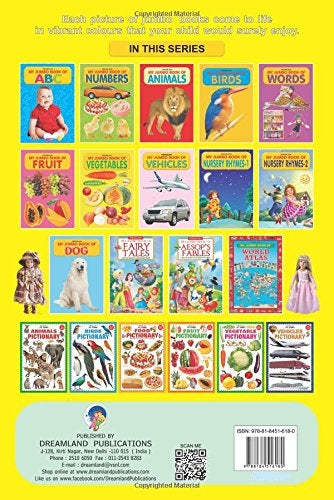 Dreamland My Jumbo Book Series (5 Titles) - Distacart