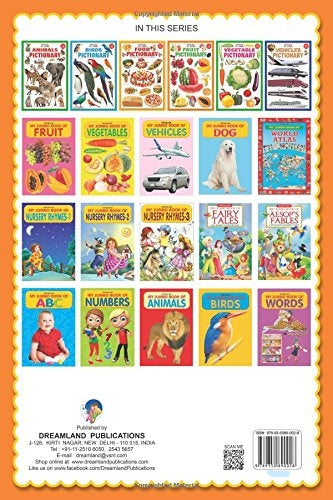 Dreamland My Jumbo Fruit Pictionary - Distacart