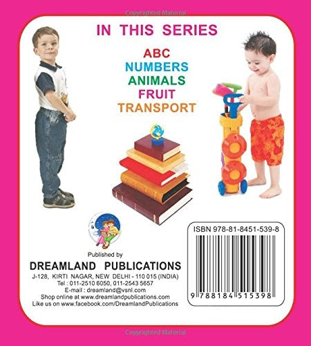 Dreamland Sparkle Board Book - Animals - Distacart