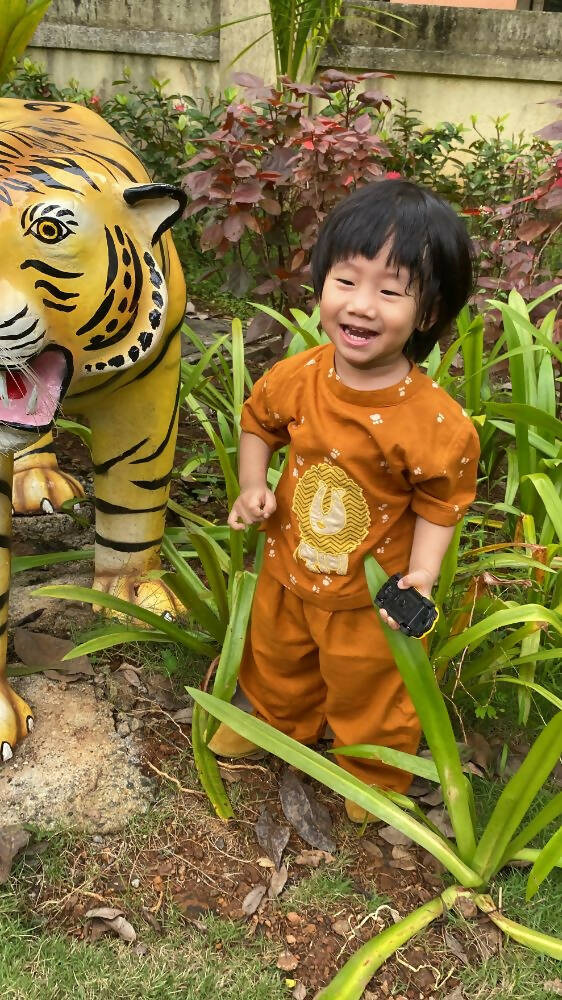 Mhyssa Oscar Half Sleeve Orange and Yellow T-shirt With Full Length Pant Set For Kids - Distacart