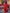 Kalini Woven Design Zari Banarasi Saree - Distacart