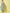 Kalini Ethnic Motifs Yoke Design Thread Work Kurta with Trousers & With Dupatta - Distacart