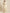 Saree Mall Off-White & Golden Woven Design Banarasi Saree - Distacart