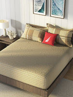 Thumbnail for Nautica Brown & Brown Striped Cotton 160 TC King Bedsheet With 2 Pillow Covers - Distacart