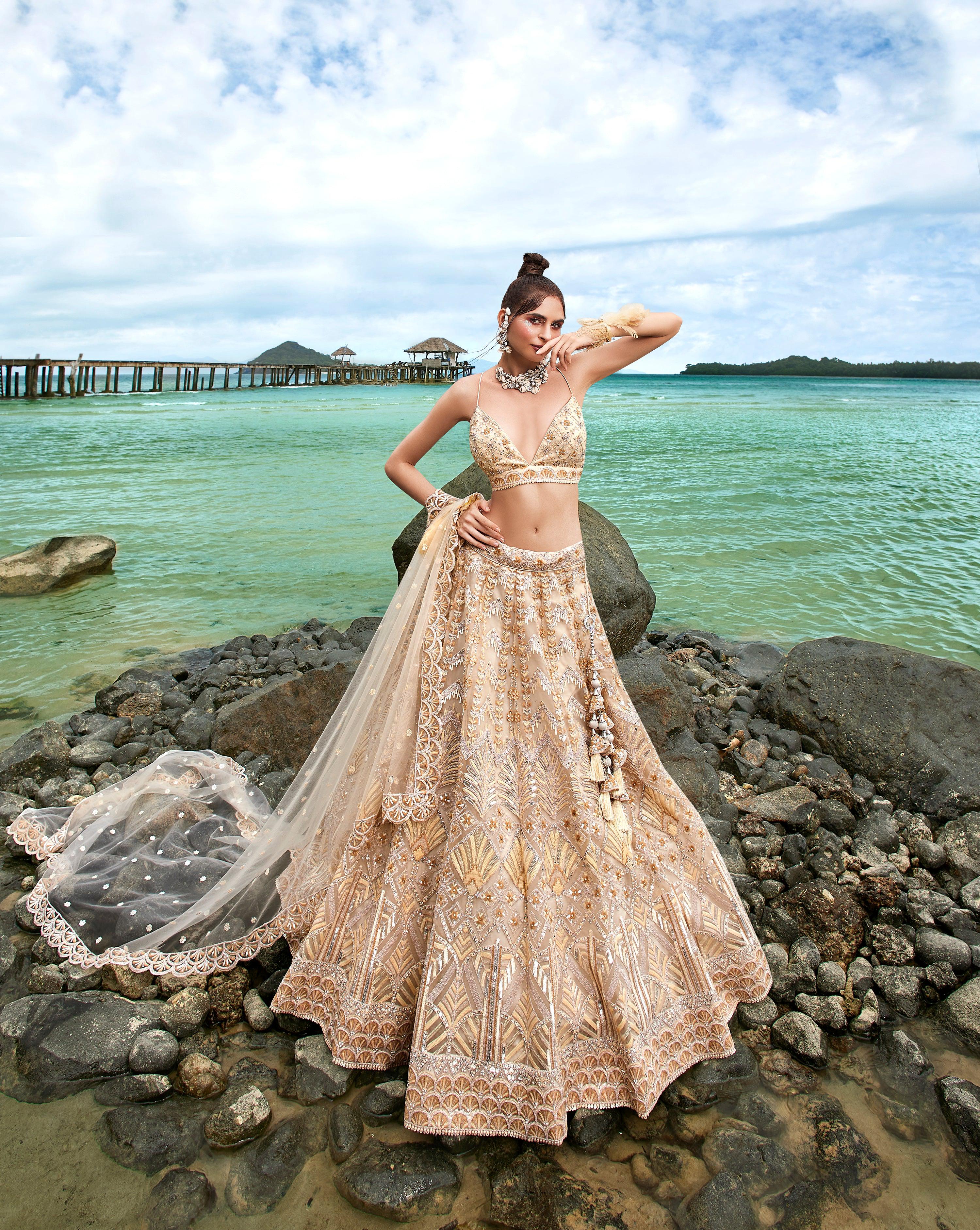 House of Panchhi Cream Net Sequins, Zarkan And Thread Embroidery Lehenga Choli & Dupatta - Distacart