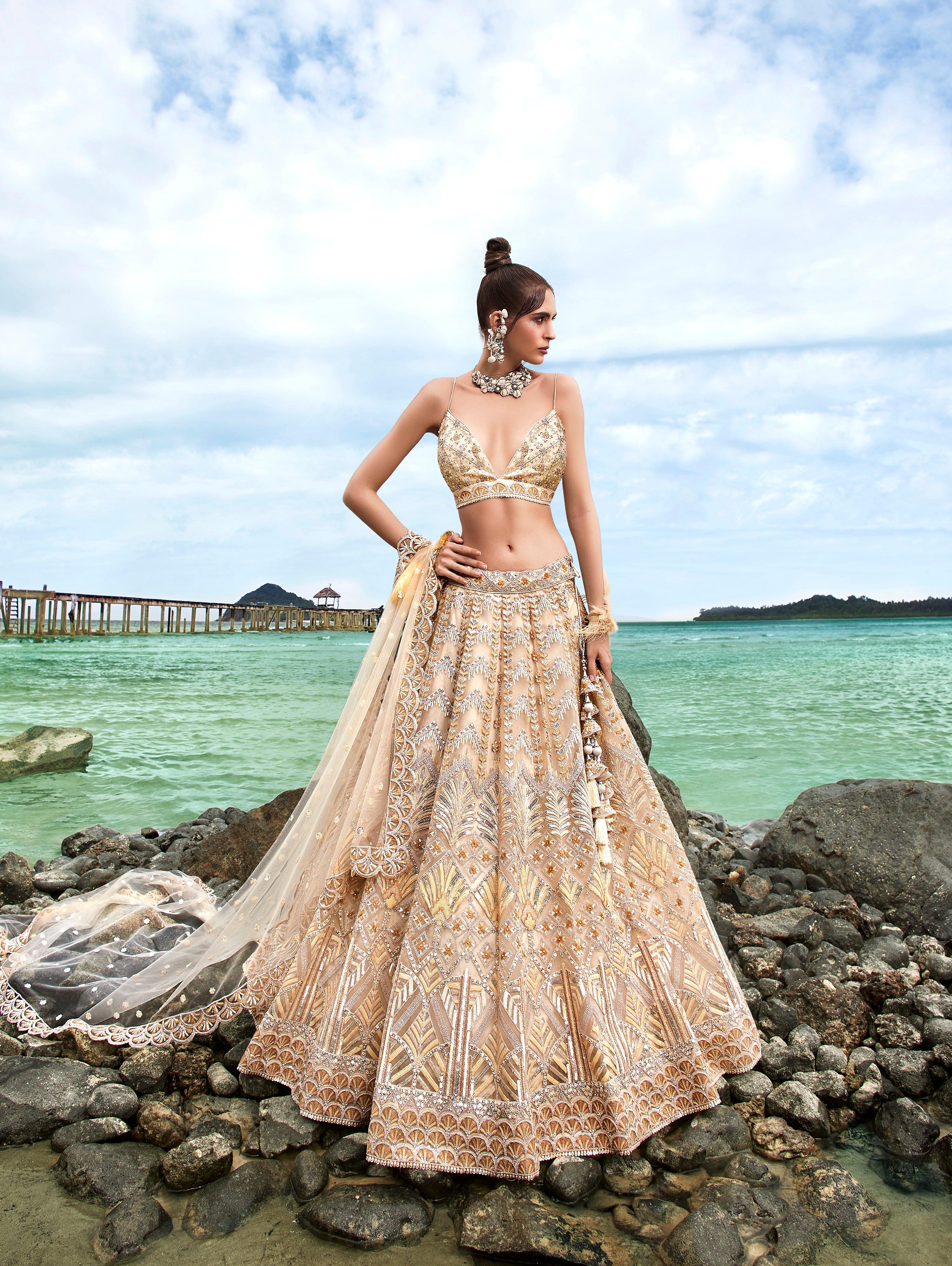 House of Panchhi Cream Net Sequins, Zarkan And Thread Embroidery Lehenga Choli & Dupatta - Distacart