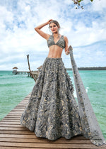 Thumbnail for House of Panchhi Grey Organza Sequins, Moti And Thread Embroidery Lehenga Choli & Dupatta - Distacart