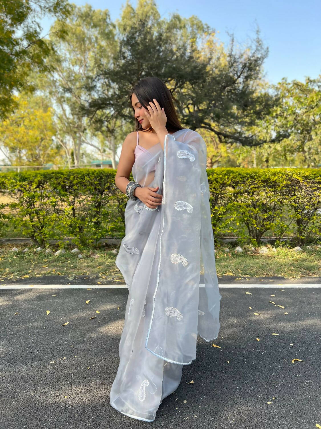 Vastrasky Grey Organza Saree - Distacart