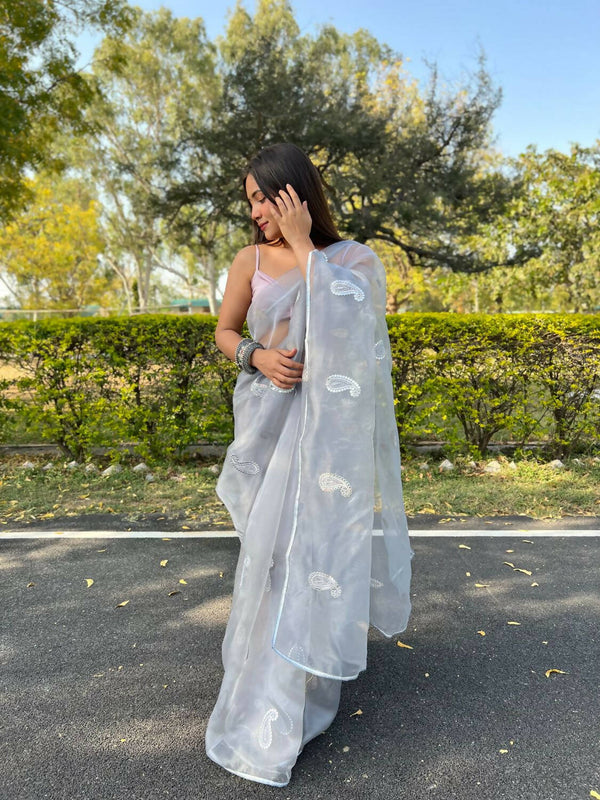 Vastrasky Grey Organza Saree - Distacart