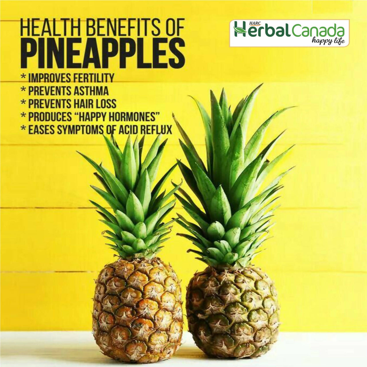 Herbal Canada Pipeapple Vinegar - Distacart