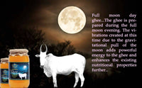 Thumbnail for Tatsat Full Moon Day Ghee From Forest Gazing Amruth Mahal A2 Cows - Distacart