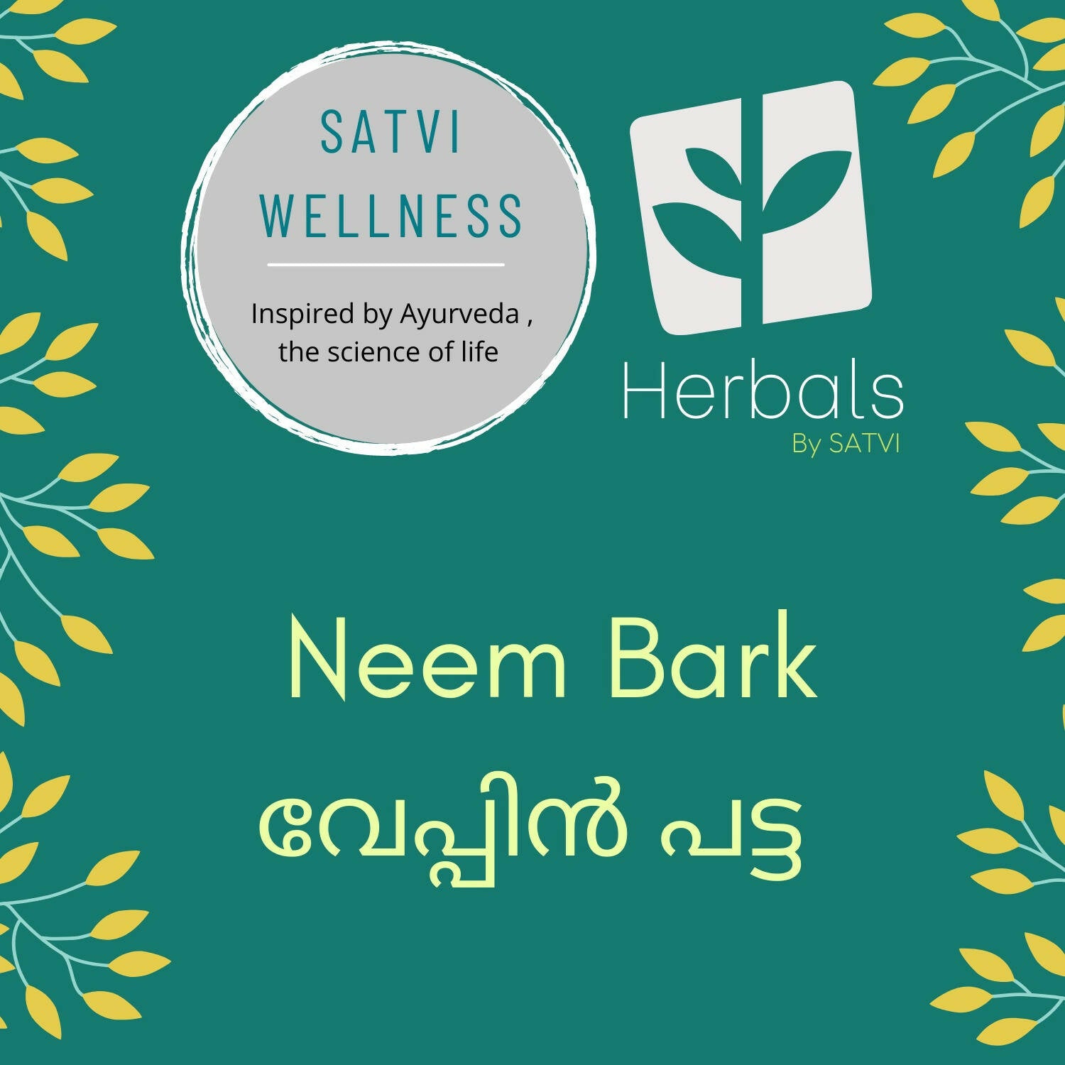 Satvi Wellness Neem Bark Powder - Distacart
