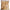 FreshOn Organic Toor Dal Unpolished - Distacart