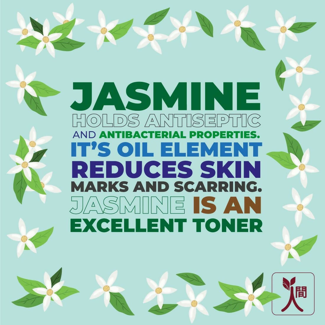 Ningen Jasmine Daily Cream - Distacart