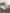 MYTRIDENT Brown White Floral Cotton 144 TC Queen Bedsheet With 2 Pillow Covers - Distacart