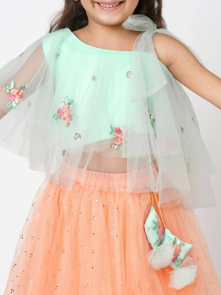 Lil Drama Girls Choli With Ghaghra Set - Peach - Distacart