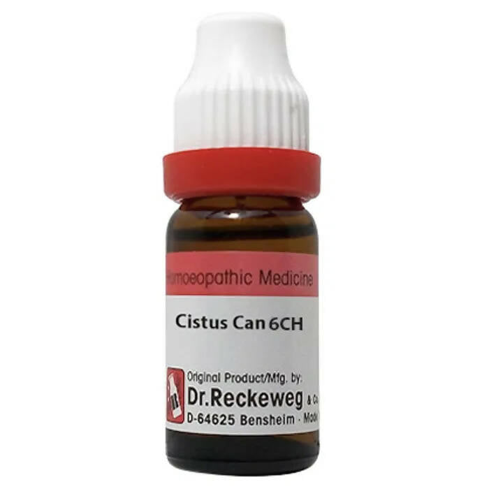 Dr. Reckeweg Cistus Can Dilution - Distacart