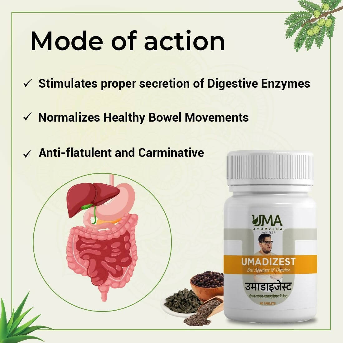 Uma Ayurveda Umadizest Gastric Medicine Ayurvedic Tablets - Distacart