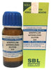 SBL Homeopathy Xerophyllum Asphodelodies Dilution
