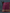 Dual Shades of Burgundy Pure Mangalgiri Cotton By Gayathri Reddy Designer Studio - Distacart