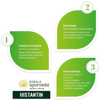 Thumbnail for Ayurveda Histantin Tablet - 100 Tablets