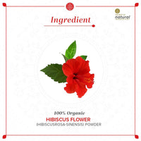 Thumbnail for Khadi Natural Organic Hibiscus Flower Powder