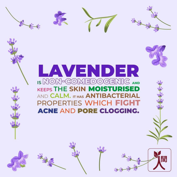 Ningen Lavender Body Wash Gel - Distacart