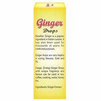 Thumbnail for Zindagi Ginger Drops - Distacart