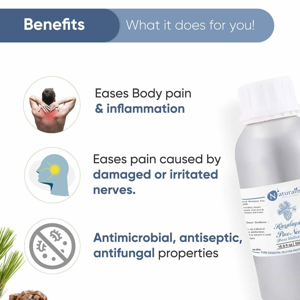 Naturalis Essence Himalayan Pine Needle Essential Oil Benefits 