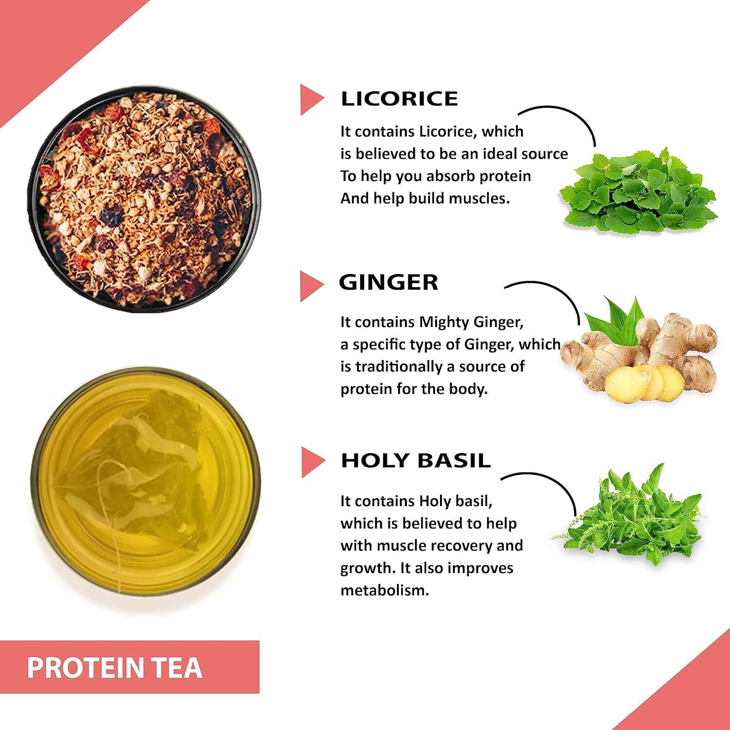 Teacurry Protein Tea Bags - Distacart