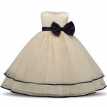 Thumbnail for Asmaani Baby Girl's Gold Color Satin A-Line Maxi Full Length Dress (AS-DRESS_22059) - Distacart