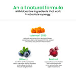 Thumbnail for Wellbeing Nutrition Melts Eye Care Vitamins-Zesty Lime & Lemon Flavor - Distacart