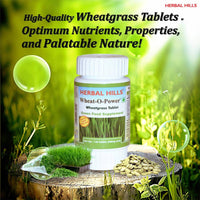 Thumbnail for Wheat-O-Power Wheatgrass Tablet 