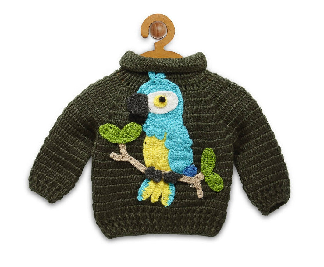 Chutput Kids Green Parrot Design Solid Pullover For Baby Boys Sweater For Baby Boys - Distacart