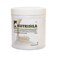 Thumbnail for Extasy Nutrisila Balanced Protein Powder