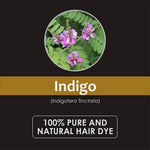 Thumbnail for Herb Essential Indigo Powder