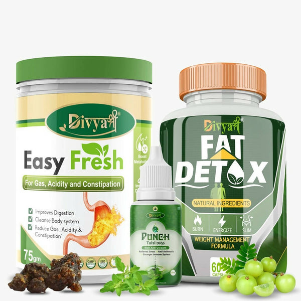Divya Shree Fat Detox Capsule + Easy Fresh Powder & Punch Tulsi Drop Gas Combo Kit - Distacart