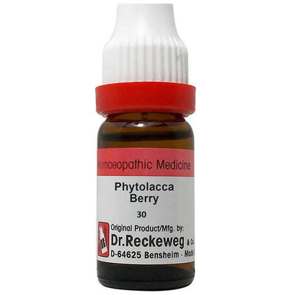 Dr. Reckeweg Phytolacca Berry Dilution - Distacart