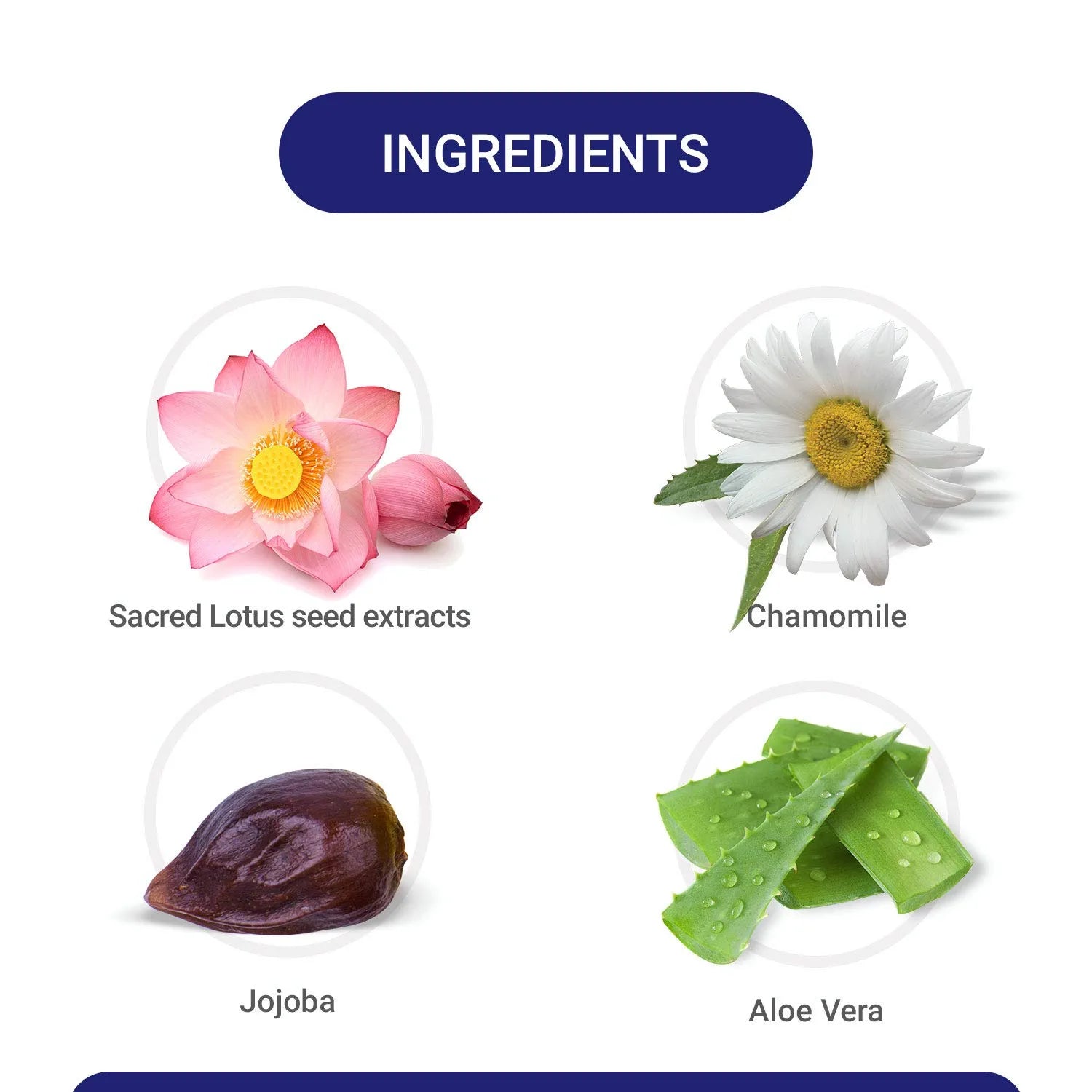 Mitchell USA Skin Polish Insta - Brite - Distacart