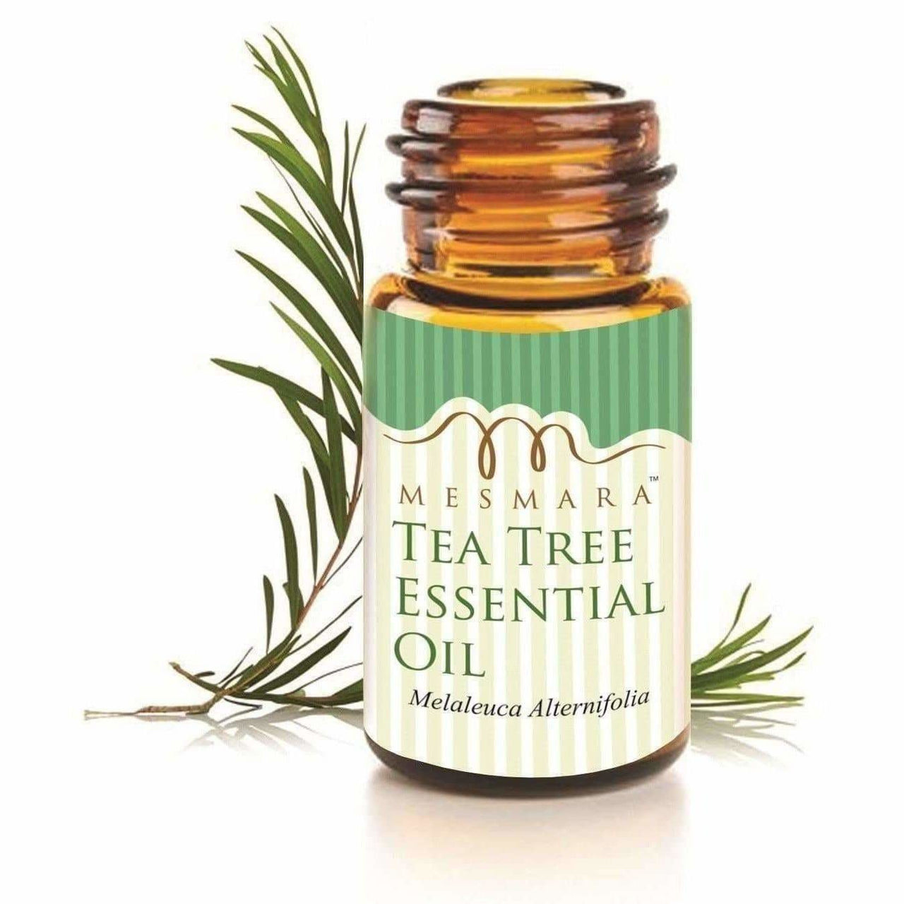Mesmara Tea Tree Essential Oil - Distacart
