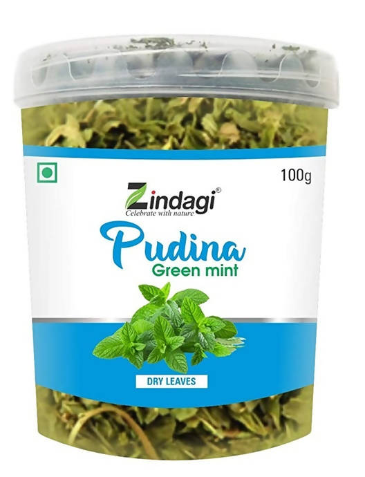 Zindagi Pudina Green Mint Dry Leaves - Distacart