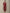 Sangria Women Maroon Floral Printed Pure Cotton Straight Kurta with Trousers - Distacart