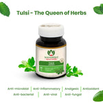Thumbnail for Maharishi Ayurveda Organic Tulsi Tablets - Distacart