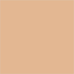 Colorbar 24Hrs Wear Weightless Powder Foundation Pf 6 - Distacart
